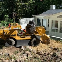 stump grinder sitting on customer property grinding a large stump