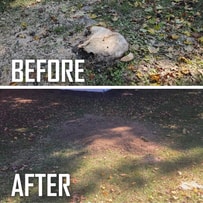 stump grinder sitting on customer property grinding a large stump