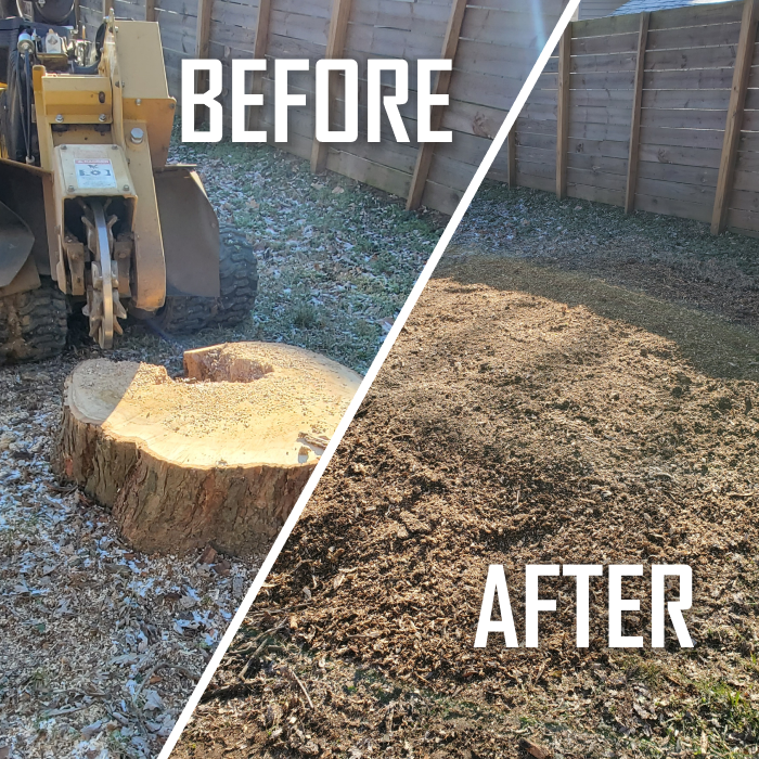 before and after stump grinding for a customer