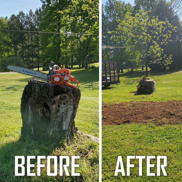 before and after stump grinding for a customer